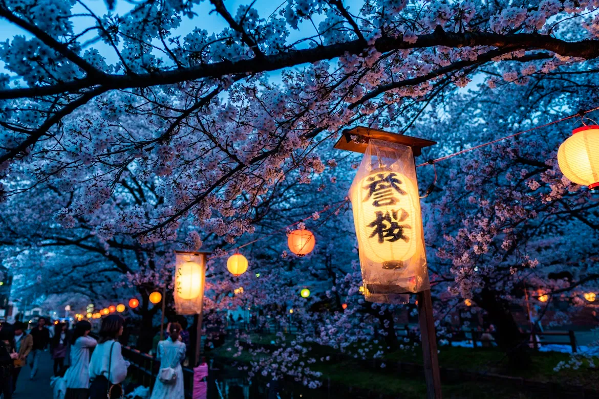 Night Illuminations
